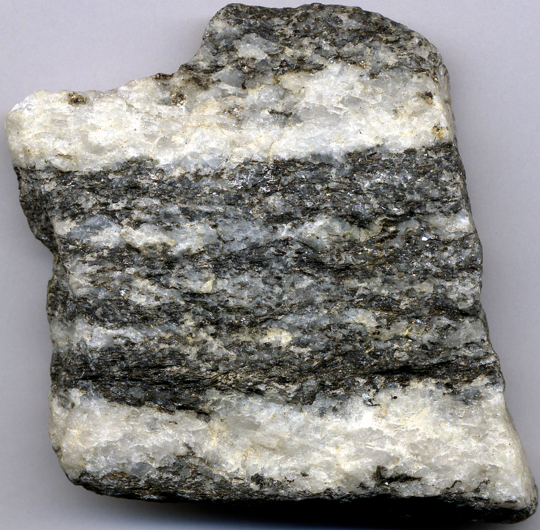 Gneis-Handstück mit heller Quarz-Feldspat-Bänderung und dunklen Glimmerlagen