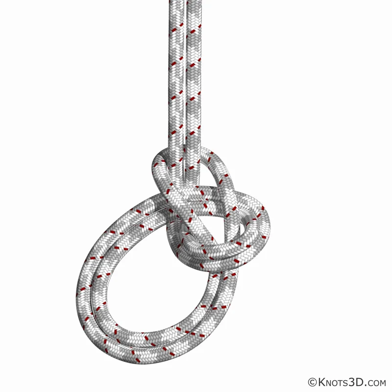 Doppelter Bulin — Vorschau von Knots 3D