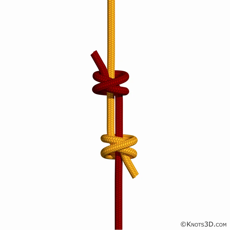 Doppelter Spierenstich — Vorschau von Knots 3D
