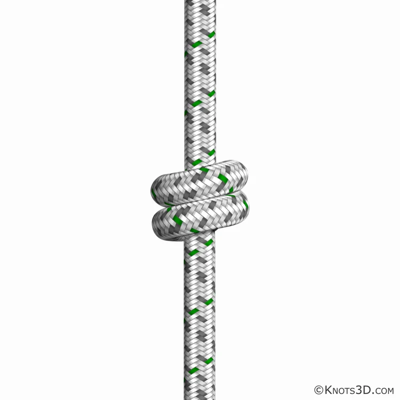 Doppelter Überhandknoten — Vorschau von Knots 3D
