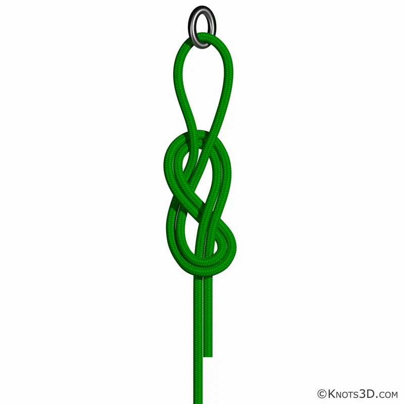 Achterknoten doppelt gesteckt — Vorschau von Knots 3D