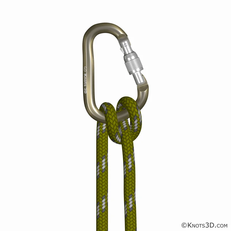 Halbmastwurf im Karabiner — Vorschau von Knots 3D