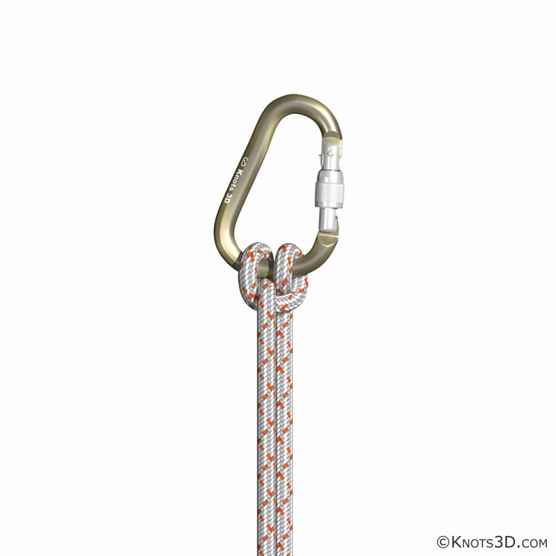 Mastwurf gelegt im Karabiner — Vorschau von Knots 3D