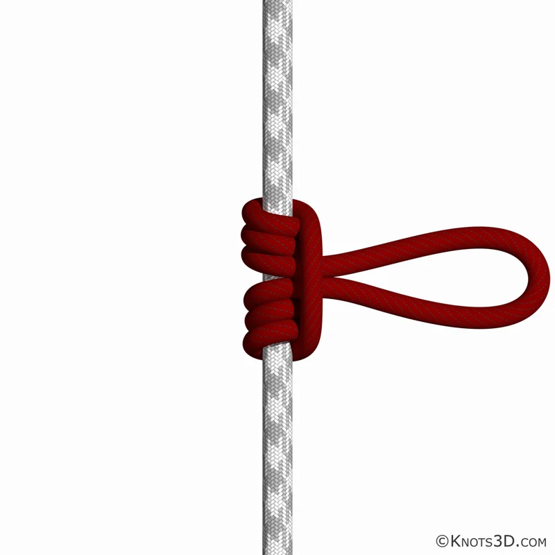 Prusikknoten — Vorschau von Knots 3D