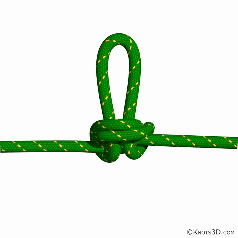 Schmetterlingsknoten — Vorschau von Knots 3D