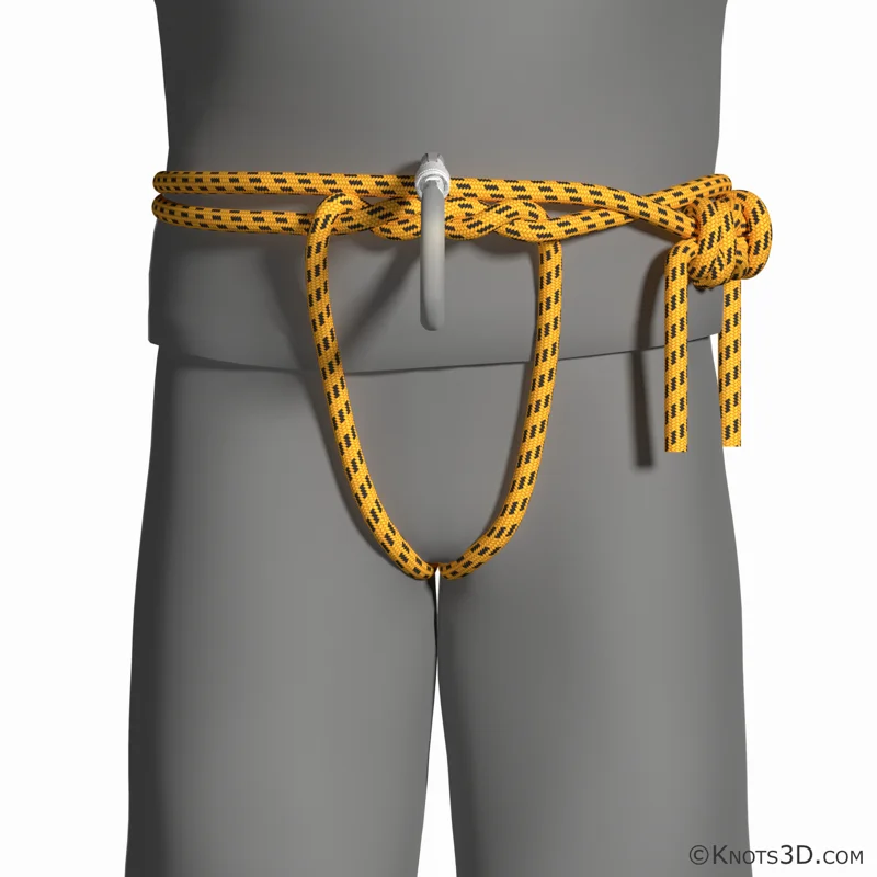 Schweizer Sitz — Vorschau von Knots 3D
